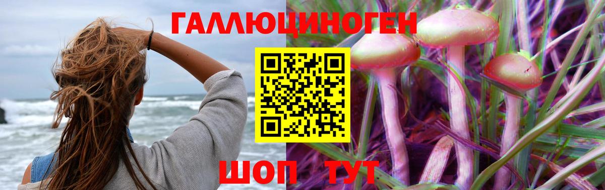Псилоцибиновые грибы GOLDEN TEACHER  Галлюциногенные грибы прущие грибы  Семилуки  Вход с VPN 