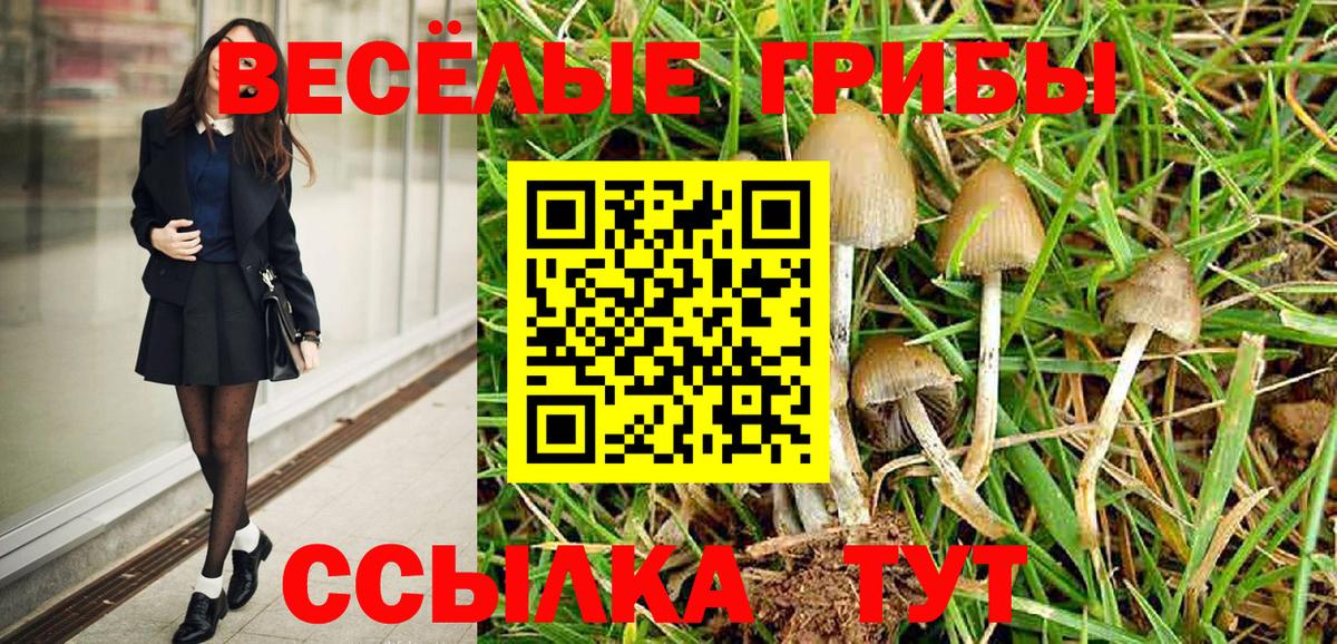 Галлюциногенные грибы MAGIC MUSHROOMS Семилуки